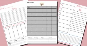 DIY Homeschool planner