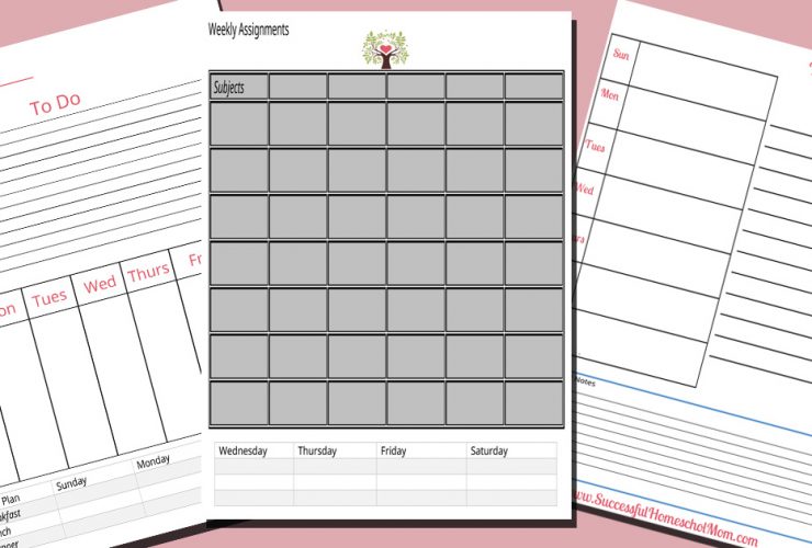 DIY Homeschool planner
